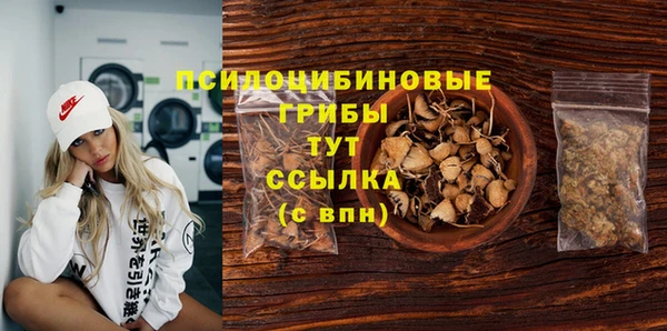 гидропоника Абаза