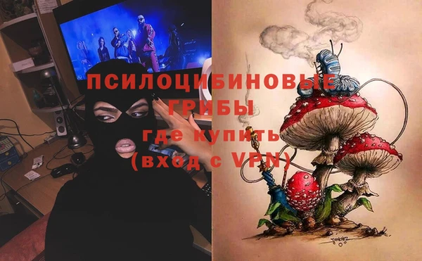 гидропоника Абаза